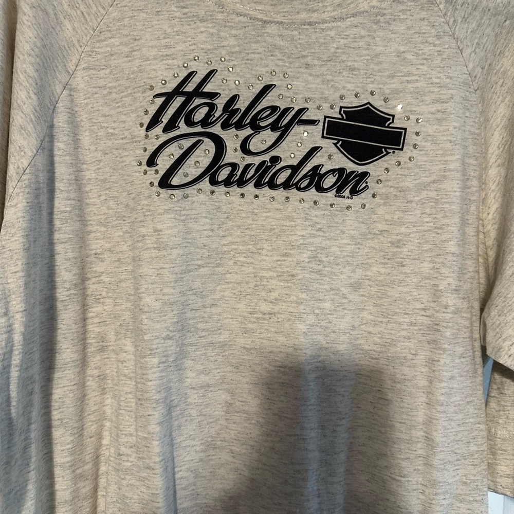 Harley-Davidson Gray Graphic Tee